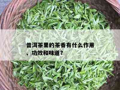 普洱茶里的茶香有什么作用、功效和味道?