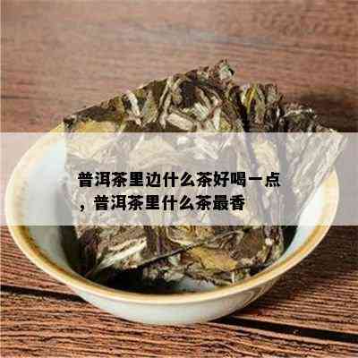 普洱茶里边什么茶好喝一点，普洱茶里什么茶最香