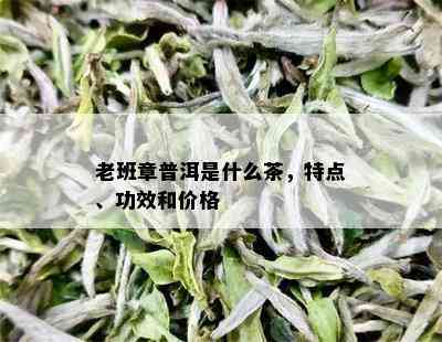 老班章普洱是什么茶，特点、功效和价格