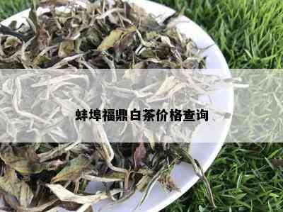 蚌埠福鼎白茶价格查询