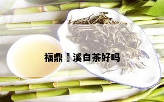 福鼎磻溪白茶好吗