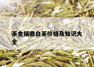 茶舍福鼎白茶价格及知识大全