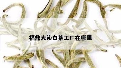 福鼎大沁白茶工厂在哪里