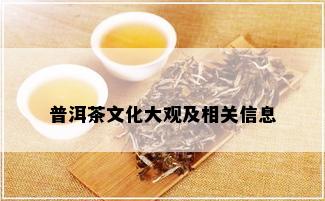 普洱茶文化大观及相关信息