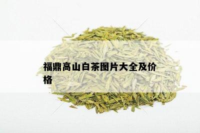 福鼎高山白茶图片大全及价格