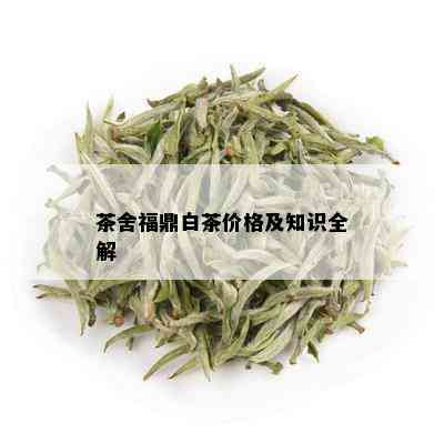 茶舍福鼎白茶价格及知识全解