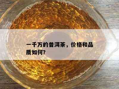 一千万的普洱茶，价格和品质如何？