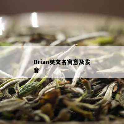 Brian英文名寓意及发音