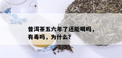 普洱茶五六年了还能喝吗，有吗，为什么？