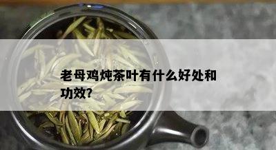 老母鸡炖茶叶有什么好处和功效？