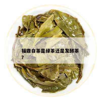 福鼎白茶是绿茶还是发酵茶？