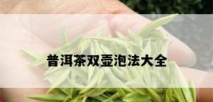 普洱茶双壶泡法大全