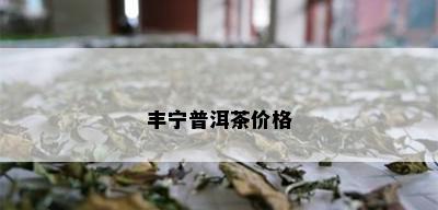 丰宁普洱茶价格