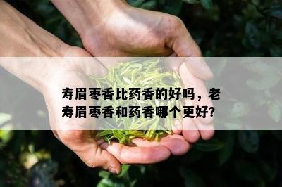 寿眉枣香比药香的好吗，老寿眉枣香和药香哪个更好？