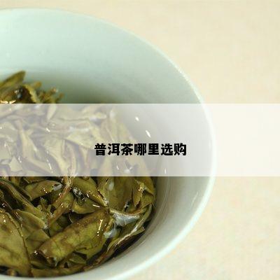 普洱茶哪里选购