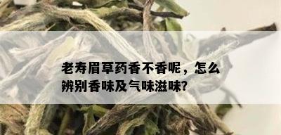 老寿眉草药香不香呢，怎么辨别香味及气味滋味？