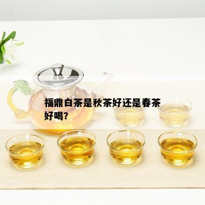 福鼎白茶是秋茶好还是春茶好喝？