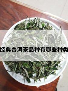 经典普洱茶品种有哪些种类