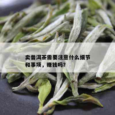 卖普洱茶需要注意什么细节和事项，赚钱吗？