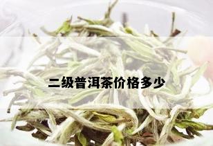 二级普洱茶价格多少