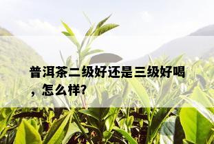 普洱茶二级好还是三级好喝，怎么样？