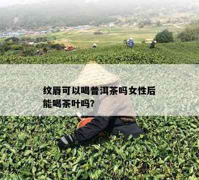 纹唇可以喝普洱茶吗女性后能喝茶叶吗？