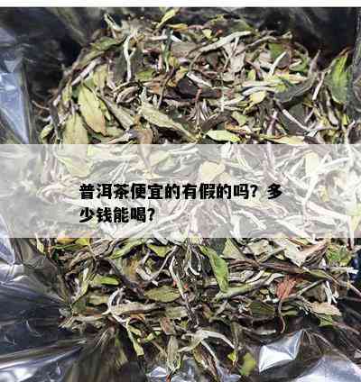 普洱茶便宜的有假的吗？多少钱能喝？