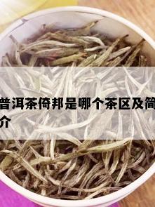 普洱茶倚邦是哪个茶区及简介