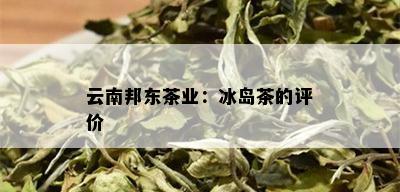 云南邦东茶业：冰岛茶的评价