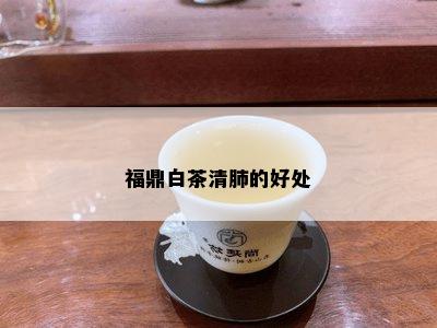 福鼎白茶清肺的好处