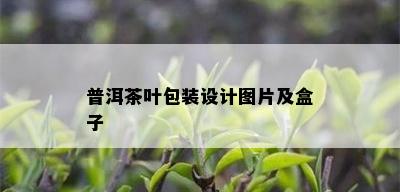 普洱茶叶包装设计图片及盒子