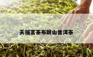 天福茗茶布朗山普洱茶