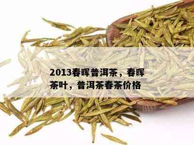 2013春晖普洱茶，春晖茶叶，普洱茶春茶价格