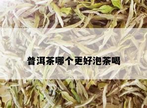 普洱茶哪个更好泡茶喝