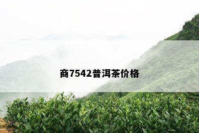 商7542普洱茶价格