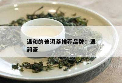 温和的普洱茶推荐品牌：温润茶