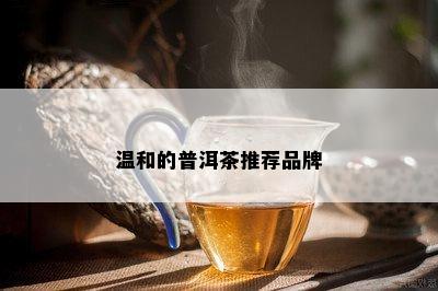 温和的普洱茶推荐品牌