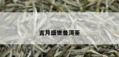 吉月盛世普洱茶