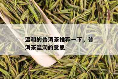 温和的普洱茶推荐一下，普洱茶温润的意思