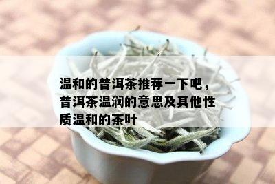 温和的普洱茶推荐一下吧，普洱茶温润的意思及其他性质温和的茶叶