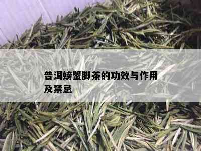 普洱螃蟹脚茶的功效与作用及禁忌