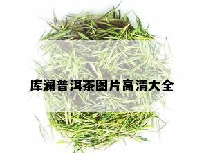 库澜普洱茶图片高清大全