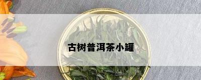 古树普洱茶小罐