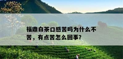 福鼎白茶口感苦吗为什么不苦，有点苦怎么回事？