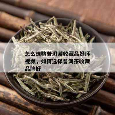 怎么选购普洱茶收藏品好坏视频，如何选择普洱茶收藏品牌好