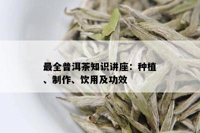 最全普洱茶知识讲座：种植、制作、饮用及功效