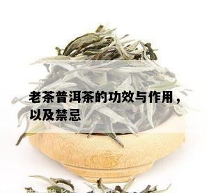 老茶普洱茶的功效与作用，以及禁忌