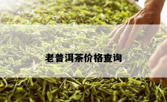 老普洱茶价格查询