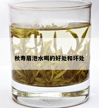 秋寿眉泡水喝的好处和坏处