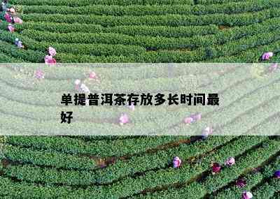 单提普洱茶存放多长时间更好